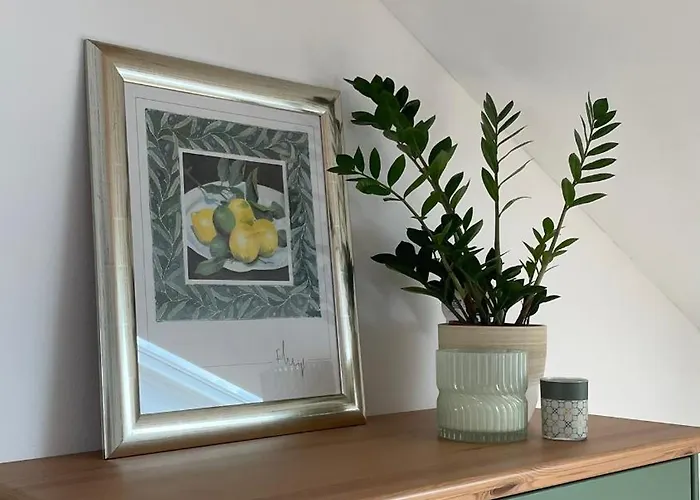 Selina Appartement *